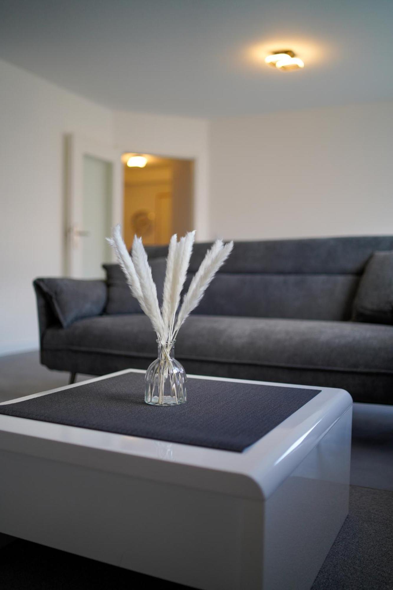 Designer Central Living Karlsruhe Wlan & Fire Tv Stick מראה חיצוני תמונה